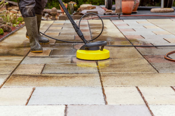 Best Animal Enclosure Cleaning  in Longview, TX